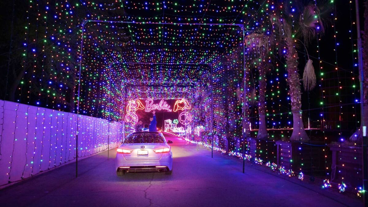 One Carload. One Price. image